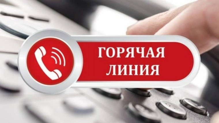 «Горячая линия» по избирательным правам граждан". «Горячая линия» по избирательным правам граждан".